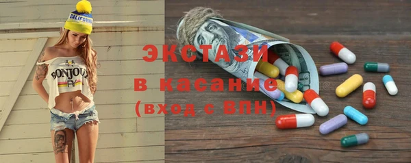 стаф Каменка