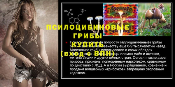 гашик Каменск-Шахтинский