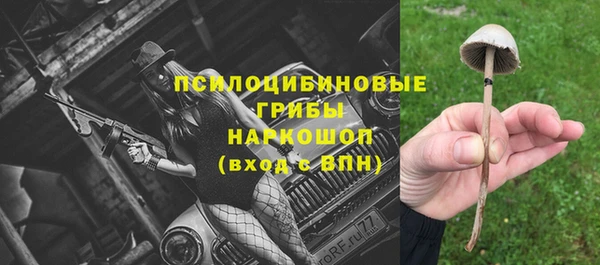 соль ск Зеленодольск