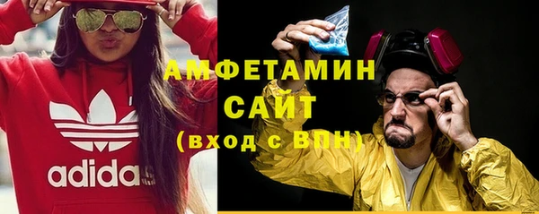 стаф Каменка