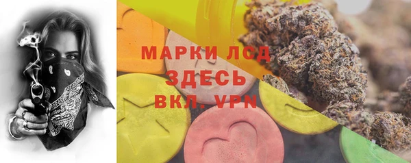 соль ск Зеленодольск
