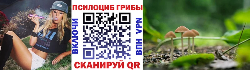 OMG сайт  Любим  Псилоцибиновые грибы мицелий 