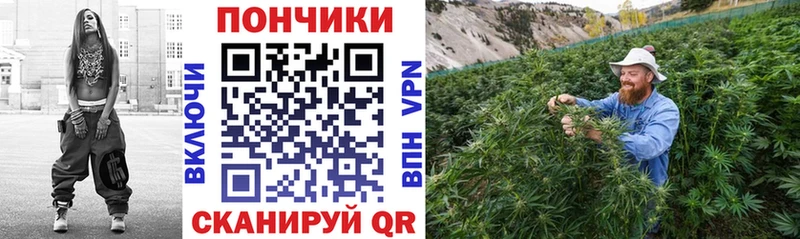 Каннабис сатива Любим